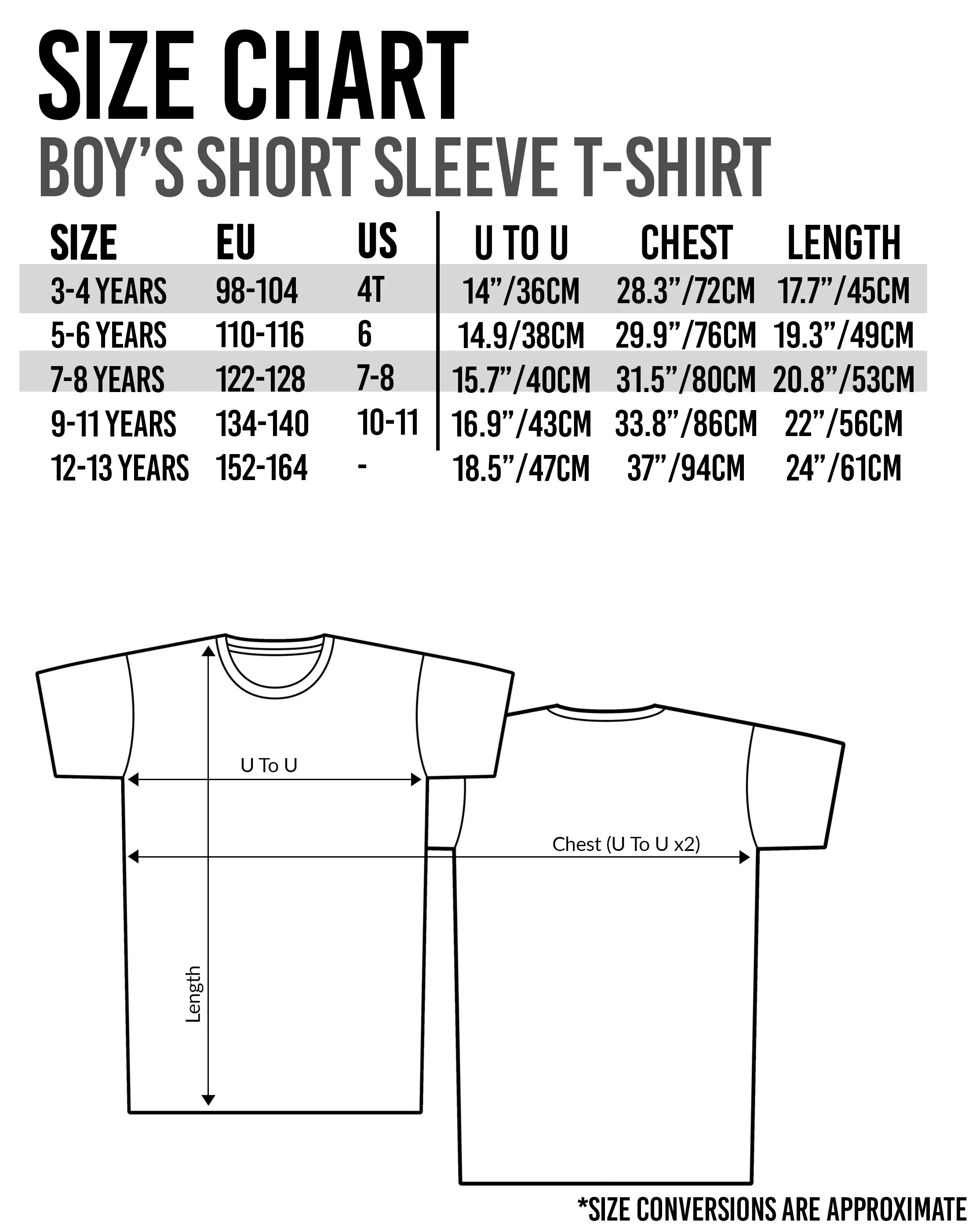 Disney Lion King Simba Boy's Grey Short Sleeve Casual T-Shirt