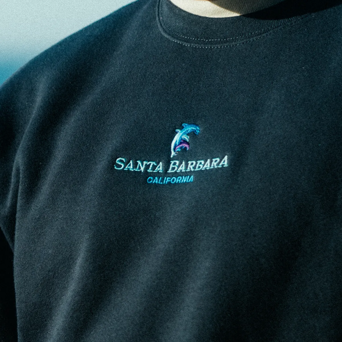 Santa Barbara Dolphin Family Crew
